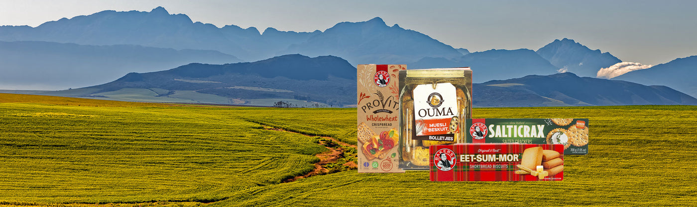 Three boxes of Provita, Ouma Rusks, Salticrax and Eet-sum-mor from Biltong Direct with a scenic background of mountains and fields.