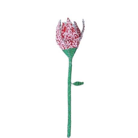 Decorative flower with red and white petals on a green stem against a white background
