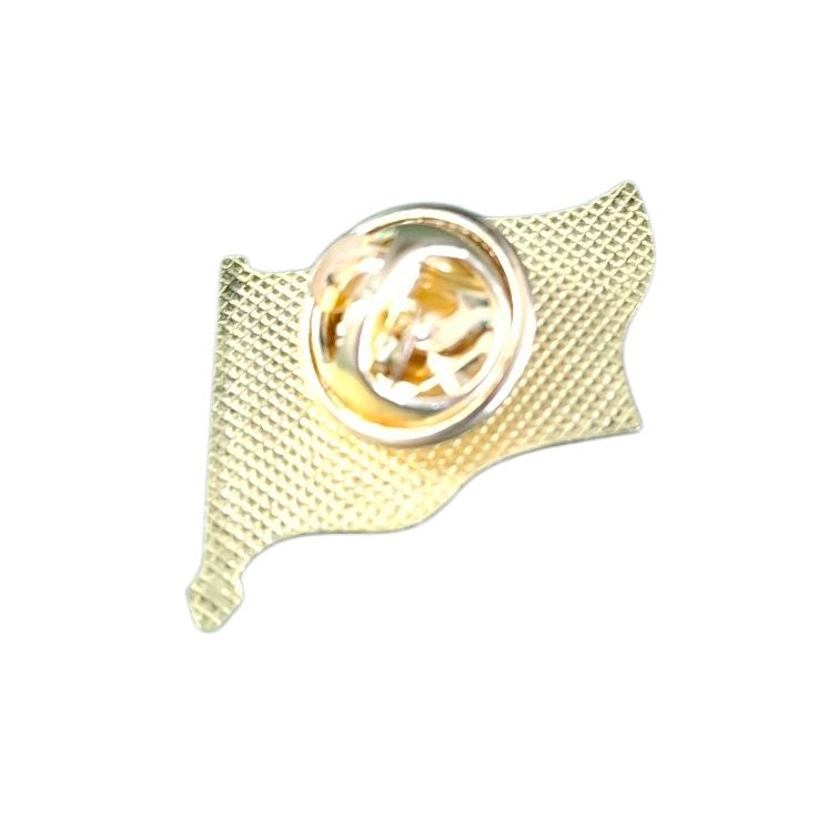 SA Flag (Flying on Pole) pin badge