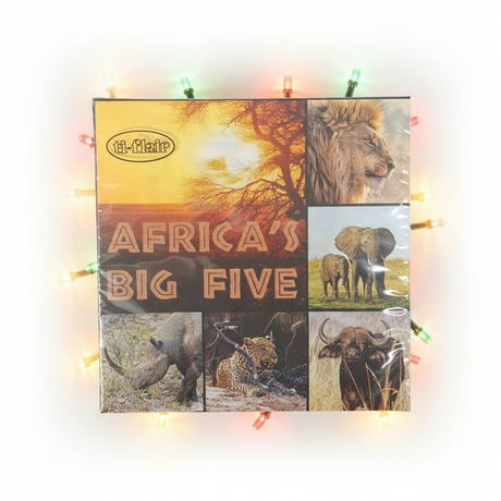 Poster of 'Africa's Big Five' with images of animals on a decorative light background